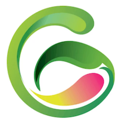 Logo du Projet