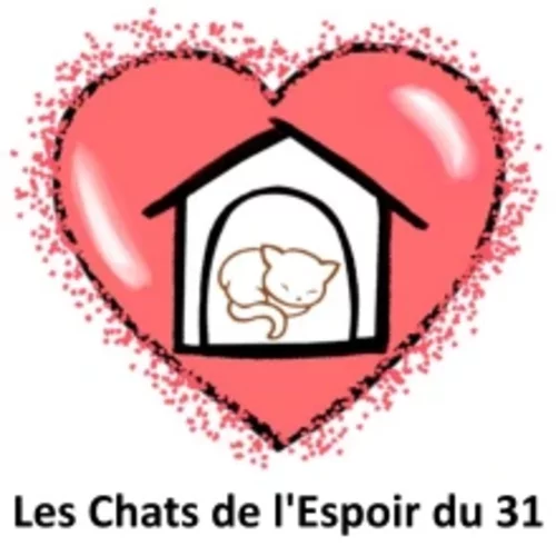 Logo du Projet