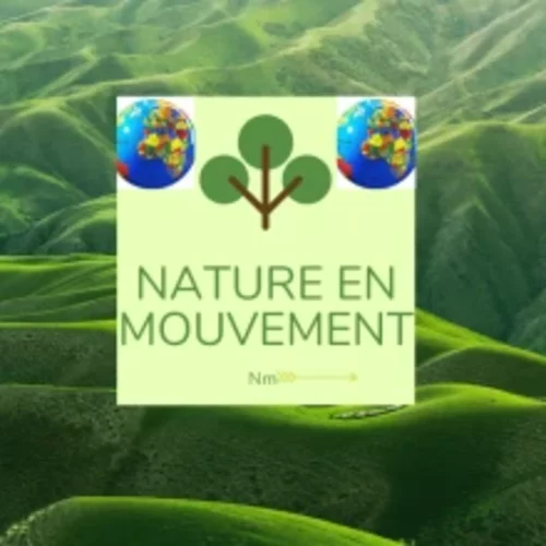 Logo du Projet
