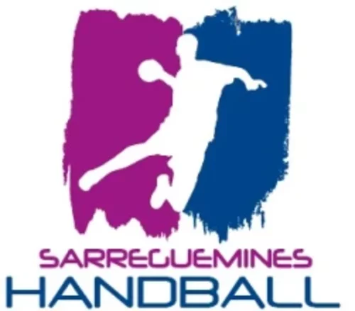 Logo du Projet