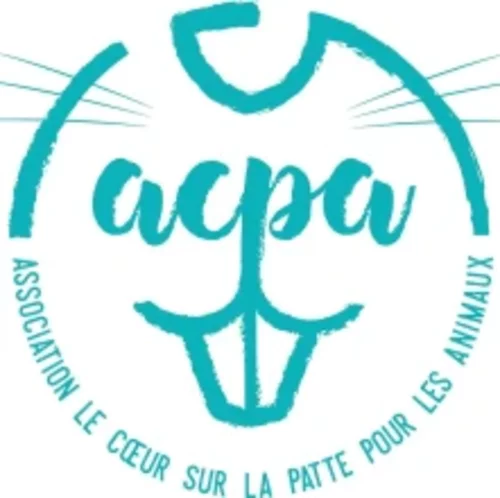 Logo du Projet