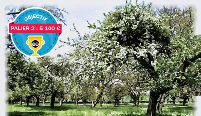 Aux 1001 arbres, un verger agroécologique dans le Lot