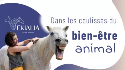 Dans les coulisses du bien-être animal