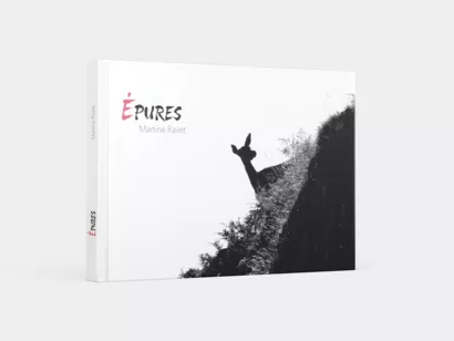 Épures : Un beau livre de photos Nature en noir et blanc