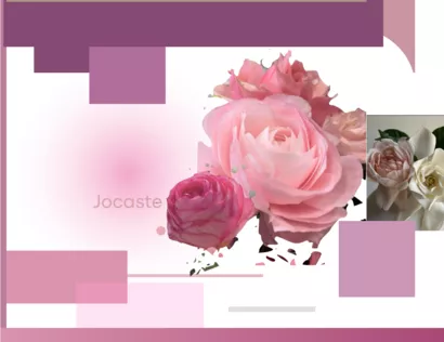 Fleuriste Romantique Paris