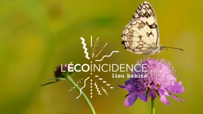 L'écoïncidence, un tiers-lieu à impact positif