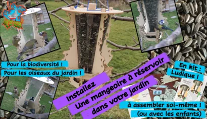 Mangeoire à réservoir pour les oiseaux du jardin