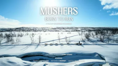 Mushers - Born To Run