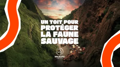 Un toit pour protéger la faune sauvage - PROLONGATIONS