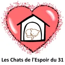 Les Chats de l'Espoir du 31