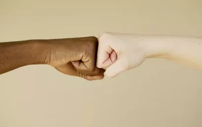 Association de Développement Local pour l'Emploi et la Formation - ADL