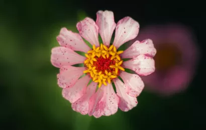 Association le Nouveau Mode