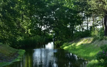 Eco-manifestations Alsace