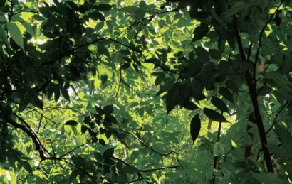 Energie Citoyenne Sénart Essonne