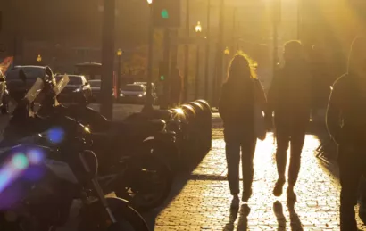 Fédération des Comités Alexis Danan pour la Protection de l'Enfance