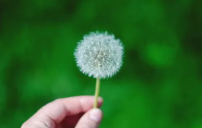 Les bénévoles du 47