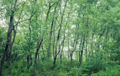 Meyreuil Environnement