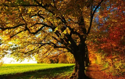Protection Civile Paris Seine