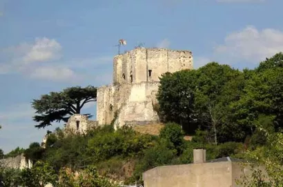 Cristalliser les ruines du château de Montrichard