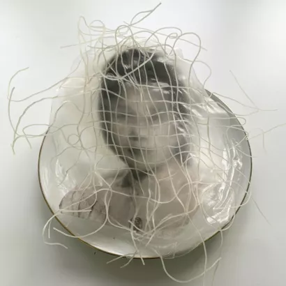 Đoàn tụ. Les eaux d'où l'on vient - Exposition