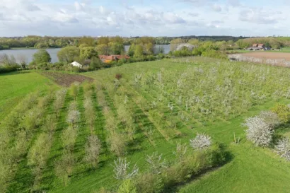 Étendre le verger conservatoire à Villeneuve d'Ascq