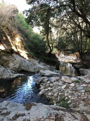 Préserver le ruisseau de Lupino à Bastia