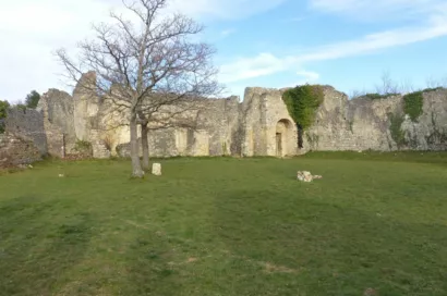Préserver les édifices majeurs du village du Vieil Allan