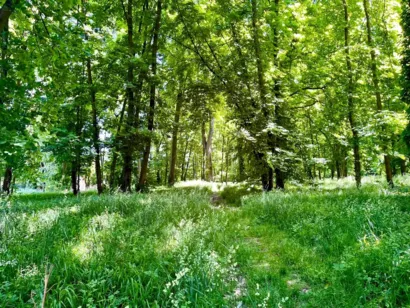 Réhabiliter le parc de la mairie de Clichy-sous-Bois