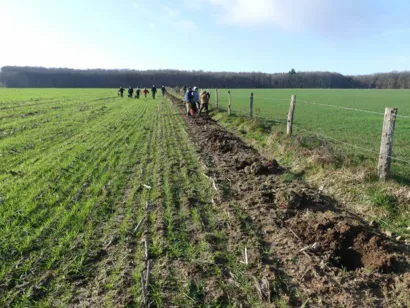 Replanter les haies bocagères du Parc naturel régional Normandie Maine