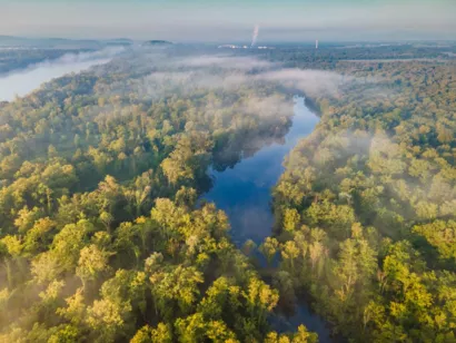 Restauration des habitats naturels de la bande rhénane