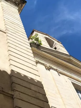 Restauration du Petit Temple à Nîmes