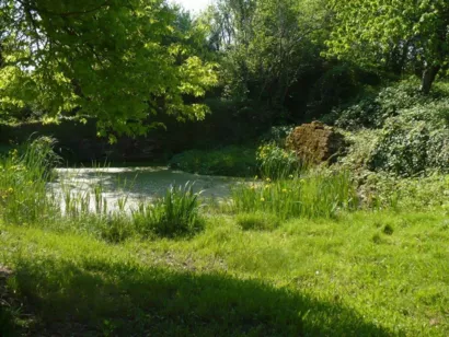 Restaurer l’abreuvoir du Crot de la Bossue à Ruages