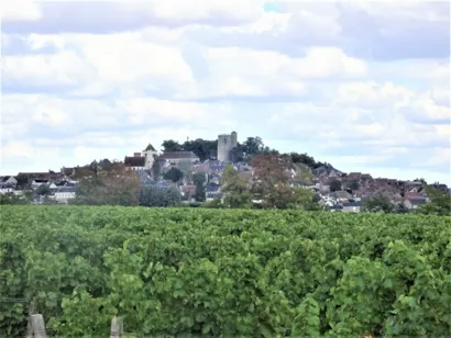 Restaurer la maison à Sancerre