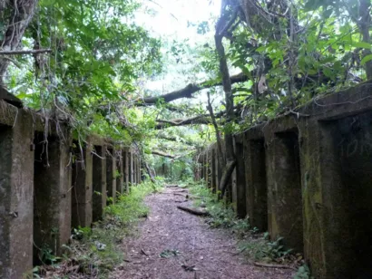 Restaurer le Bagne des Annamites à Montsinéry-Tonnegrande