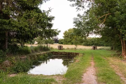 Restaurer le guéoir à Bult