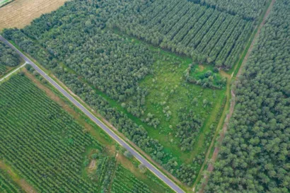 Restaurer le milieu humide à Souvigné