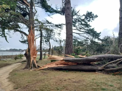 Restaurer le parc du centre spirituel de Penboc’h